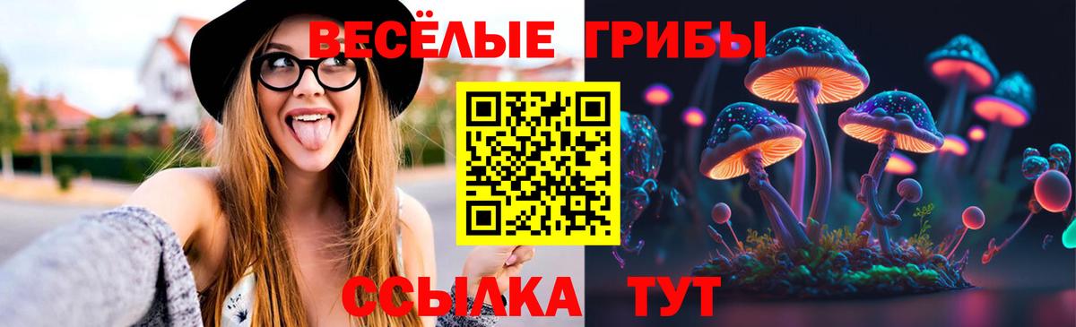 Галлюциногенные грибы GOLDEN TEACHER  наркота  Десногорск  Вход с VPN 